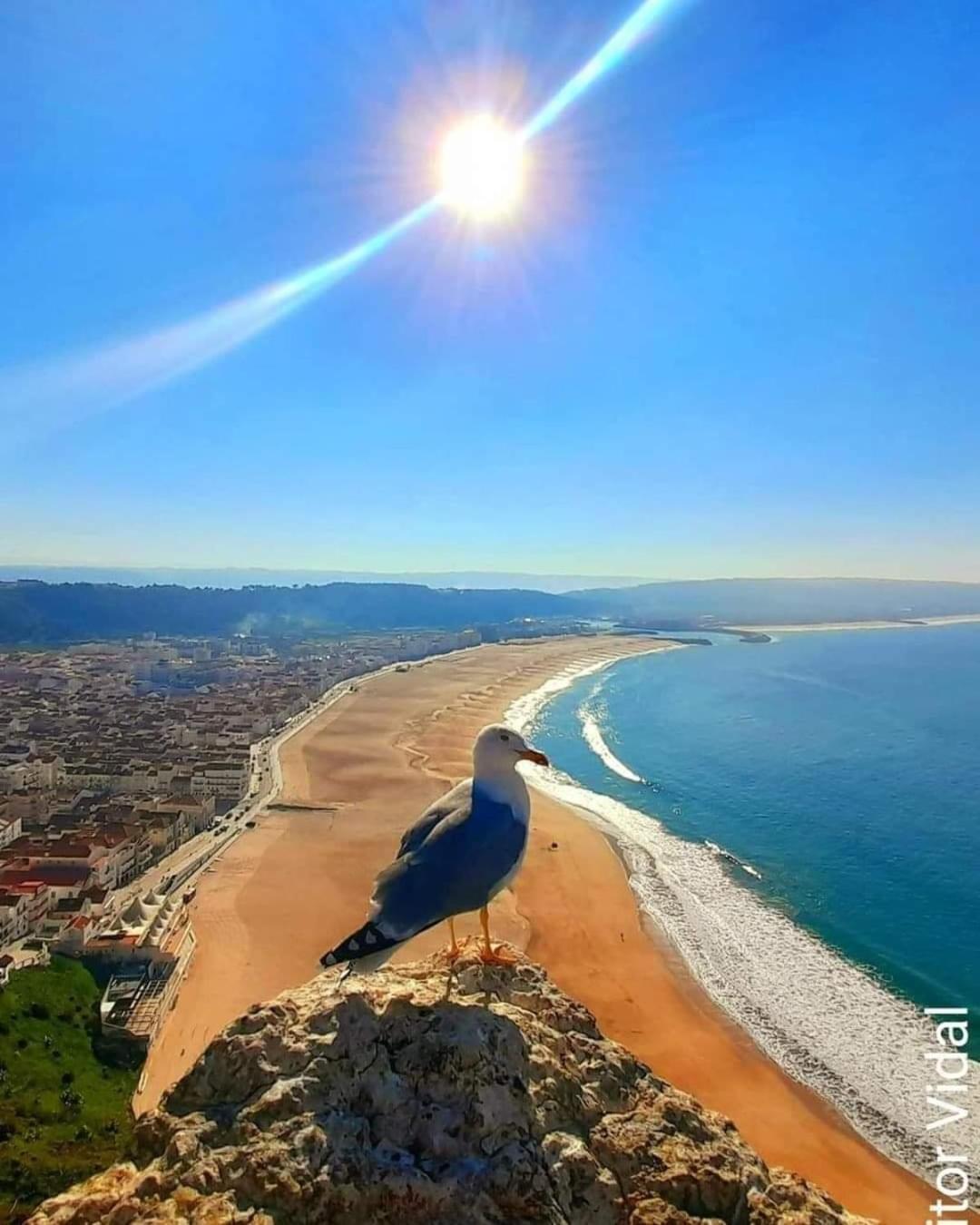 Maresia Villa Mar Назаре Экстерьер фото